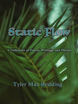 cover image of Static Flow